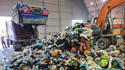 За три месяца у нас в области отсортировали почти 500 тонн мусора