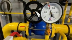 Сахалинские семьи активно используют материнский капитал для улучшения жизни и газификации домов