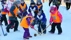 Хоккей и лыжные гонки для юных анивчан