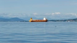 25 июня — День моряка 2024: история и традиции праздника, приметы 