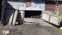 Анивские добровольцы помогли жительнице села Рыбацкое