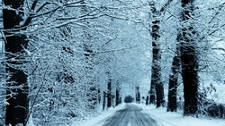 Снег и мороз до -32 градусов ожидаются на Сахалине и Курилах 9 февраля 