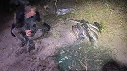 Анивкому браконьеру рыбалка в Лютоге обойдётся в 53 тысячи рублей