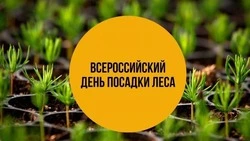 Всероссийский день посадки леса 2025: картинки и открытки к празднику