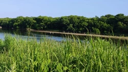 Купание в Лютоге запрещено, вода не соответствует требованиям