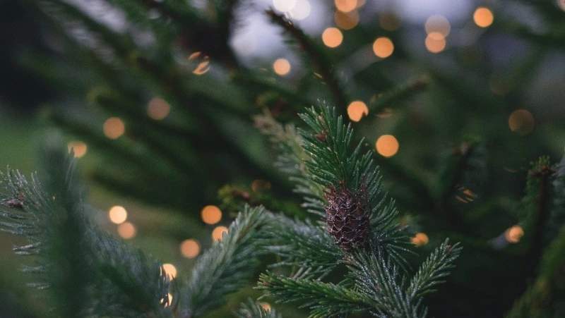 Народные приметы на 10 января 2024 года — что нельзя делать в этот день