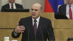 «Единая Россия» одобрила назначение Михаила Мишустина премьер-министром