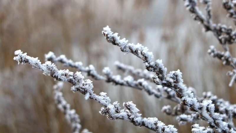 Народные приметы на 15 января 2024 года — что нельзя делать в этот день