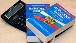 Система работы налоговых органов настроена на максимальное предоставление льгот налогоплательщикам