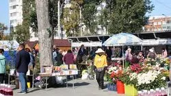 Ярмарка «Золотая осень Сахалина» длилась два дня