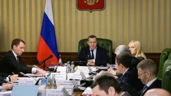Юрий Трутнев провёл заседание Госкомиссии по вопросам развития Арктики