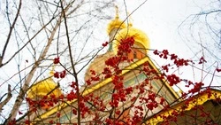 Покров Пресвятой Богородицы в 2024 году: история и традиции праздника, народные приметы  