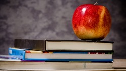 Если вы умнее школьника, то вы легко наберете 7/9 — ТЕСТ  
