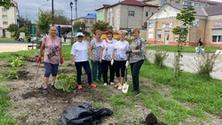 Группа анивчан из старожилов сделала всем подарок ко Дню города