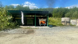Разыскивают вандалов, учинивших пожар на мусоросборной площадке
