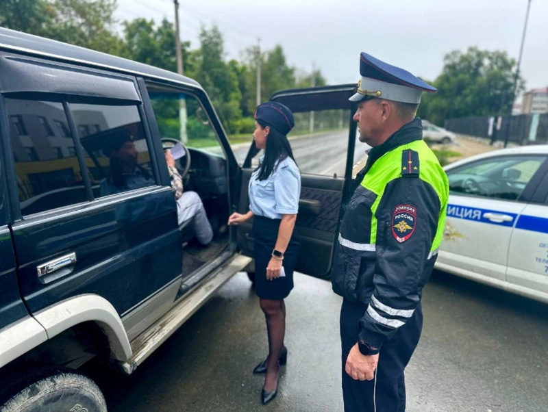 В Аниве сотрудники Госавтоинспекции провели акцию «Пристегни себя!»