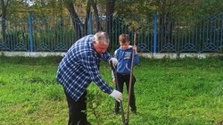 На территории «Алого Паруса» дошкольники посадили деревья