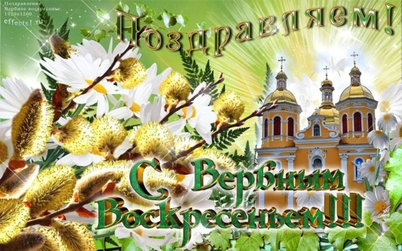 С Вербным воскресеньем 2024: картинки и открытки  