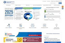 Представлен для общественного обсуждения проект закона об исполнении областного бюджета за 2024 год