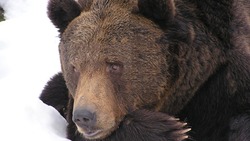 Народные приметы на 26 марта 2025 года — Никифоров день: что можно и нельзя делать 