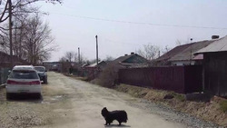 В праздничный день мэр оценивала масштабы дорожного ремонта в Троицком
