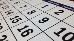 Производственный календарь на декабрь 2024 года: как отдыхаем, выгодно ли брать отпуск  
