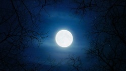 Первое полнолуние 2025 года: чем опасна Волчья Луна, что нельзя делать 