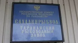 Чтобы рыба была…
