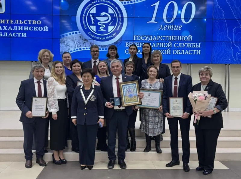 Анивских ветеринаров наградили за хорошую работу и передовой опыт