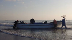 Наш муниципалитет связывает с марикультурой планы интенсификации экономики