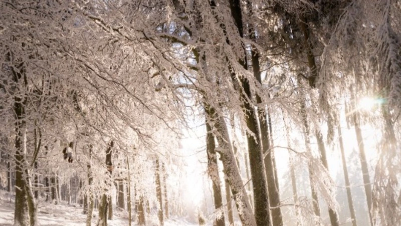 Церковный праздник 6 декабря 2023: что нельзя делать в этот день