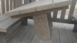 Что имеем, не храним? Потерявши, возмущаемся?