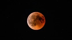 Невероятные перемены с 10 февраля: новолуние изменит жизнь этих знаков зодиака  