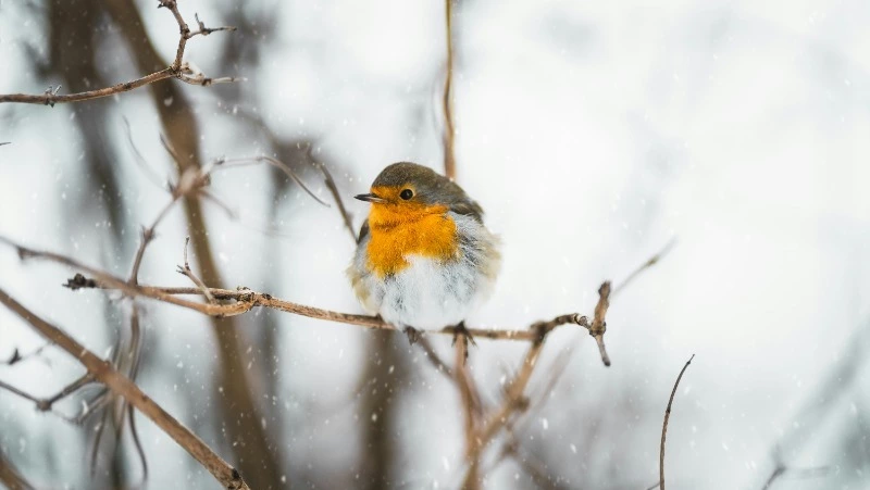 1 апреля 2024: праздники, что было в эту дату 