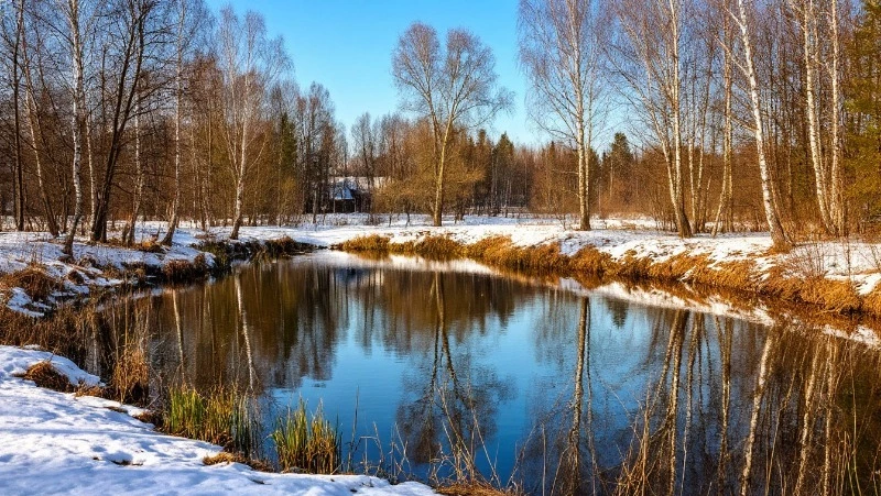 Народные приметы на 16 апреля 2025 года: что нельзя делать в день Никиты Водопола