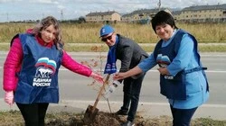 В Ново-Троицком высадили рябиновую аллею