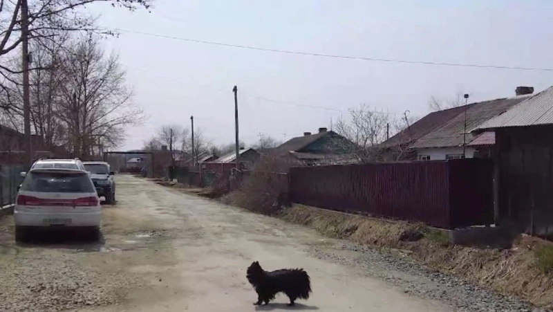 В праздничный день мэр оценивала масштабы дорожного ремонта в Троицком