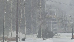 В Аниве сгорела квартира в многоэтажке