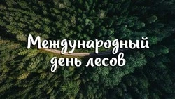 Международный день лесов 2025: красивые картинки к празднику 