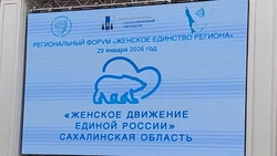 «Женское Движение «Единой России» объединило три тысячи островитянок для решения социальных задач