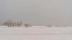 Погода на Сахалине 21 января: осадков мало, зато морозы наберут обороты  