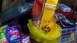 Первые из Успенского помогли приюту для четвероногих «Олимпия»