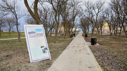 Благоустройство сквера «Грушевый сад» в Новотроицком завершат до конца ноября