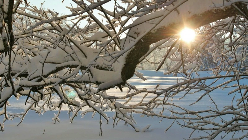 Народные приметы и поверья на 12 февраля 2025 года — что нельзя делать в Васильев день 