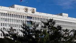 Сахалин приостановил экономическую деятельность по 88 направлениям