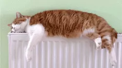 Отопительный сезон в районе закончится 1 июня