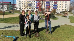 Анивчане высадили молодые деревья в приметных местах города