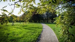 Названия для парка за подвесным мостом: выбираем лучшее