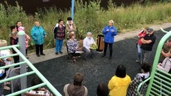 Жители Ново-Троицкого проголосовали за асфальтирование улицы
