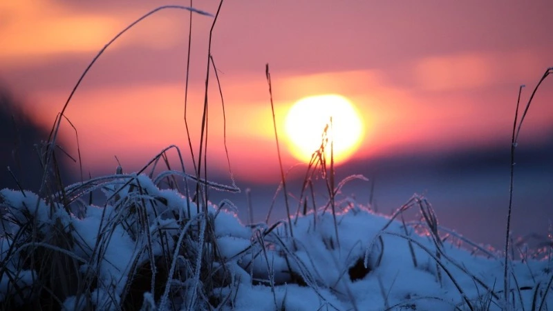 Народные приметы на 29 марта 2024 года — что нельзя делать 